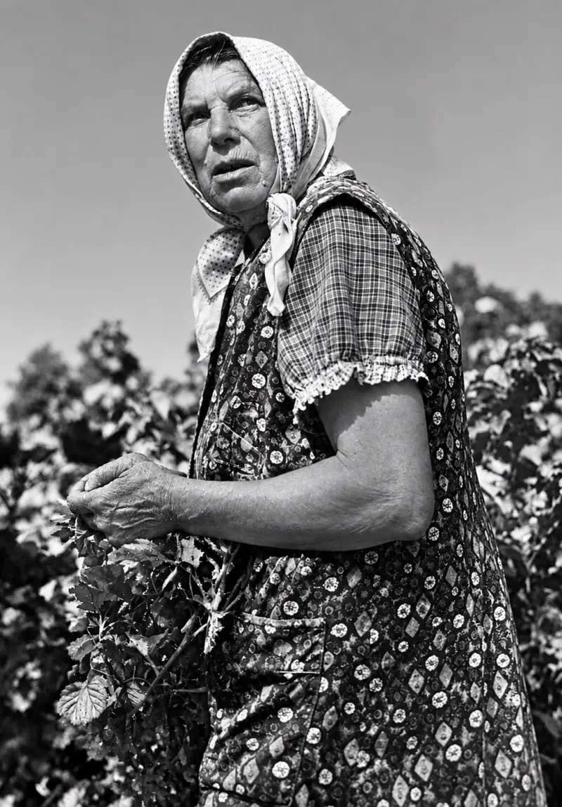 Katarina Maehr im Garten